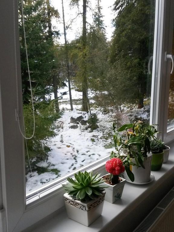 Celik Family Apartment Štrbské Pleso 외부 사진